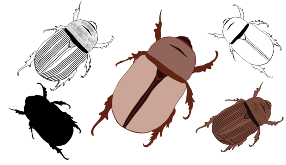 Rhino Beetle Svg Png